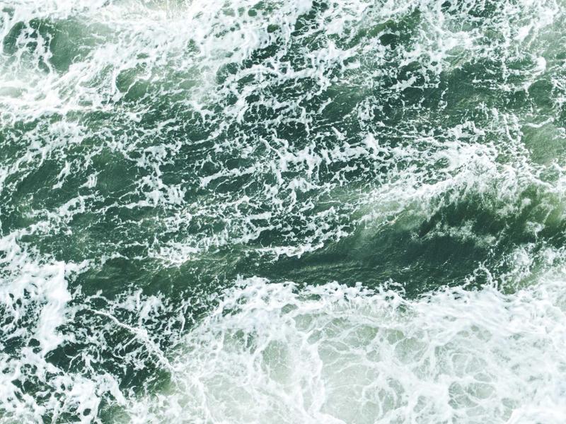 sudoku bifurcation screenshot 1